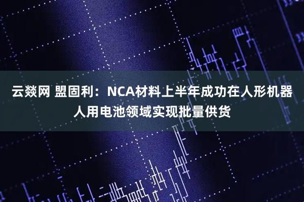 云燚网 盟固利：NCA材料上半年成功在人形机器人用电池领域实现批量供货
