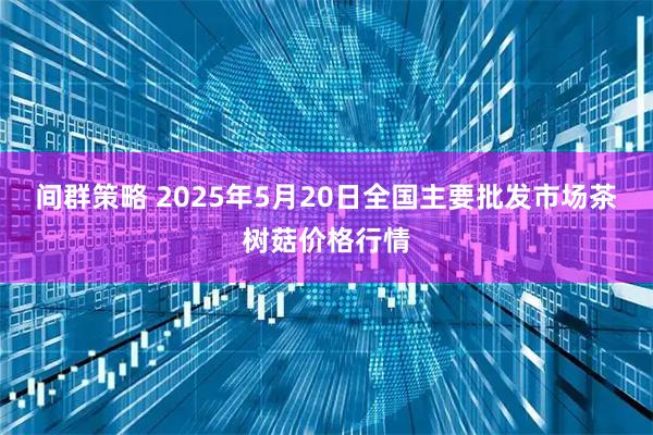 间群策略 2025年5月20日全国主要批发市场茶树菇价格行情