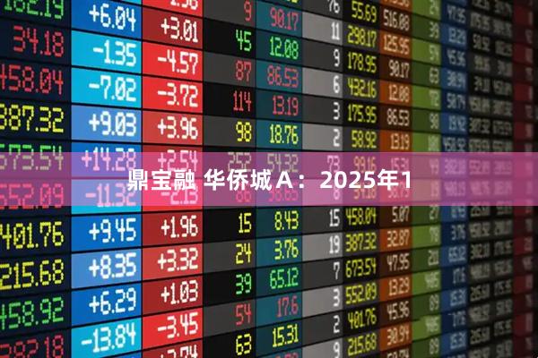 鼎宝融 华侨城Ａ：2025年1