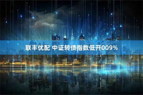 联丰优配 中证转债指数低开009%