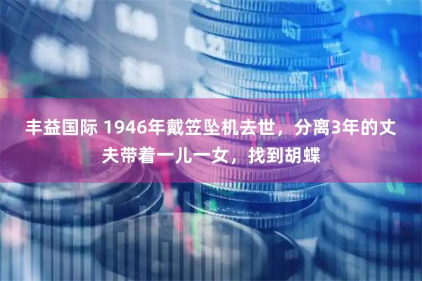 丰益国际 1946年戴笠坠机去世，分离3年的丈夫带着一儿一女，找到胡蝶