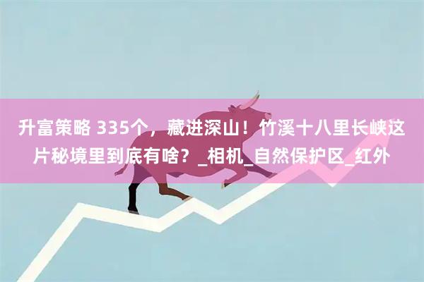 升富策略 335个，藏进深山！竹溪十八里长峡这片秘境里到底有啥？_相机_自然保护区_红外